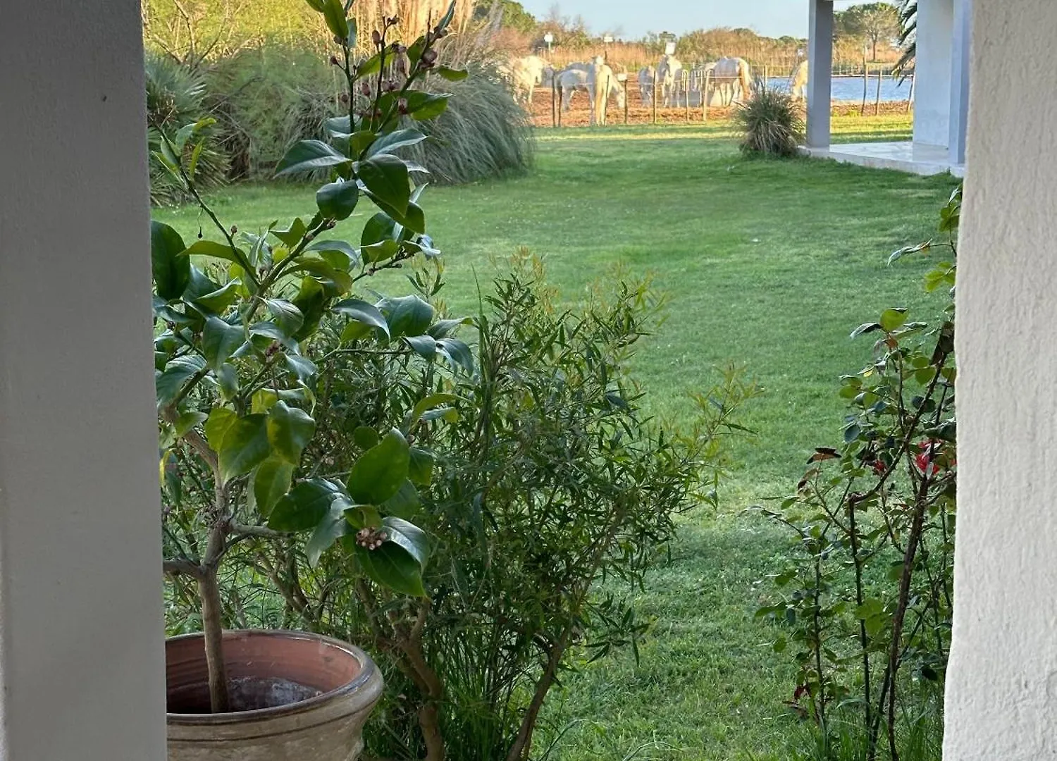 Hotel Mas Des Barres Saintes-Maries-de-la-Mer